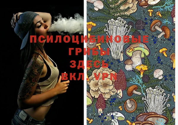 ПСИЛОЦИБИНОВЫЕ ГРИБЫ Елизово