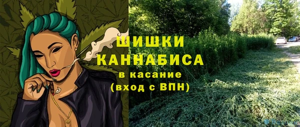ПСИЛОЦИБИНОВЫЕ ГРИБЫ Елизово