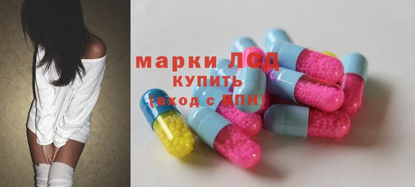 ПСИЛОЦИБИНОВЫЕ ГРИБЫ Елизово