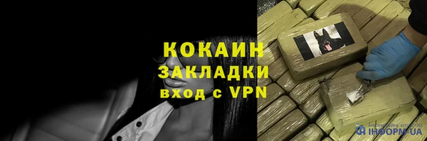 ПСИЛОЦИБИНОВЫЕ ГРИБЫ Елизово