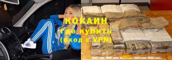 ПСИЛОЦИБИНОВЫЕ ГРИБЫ Елизово