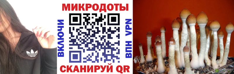 Галлюциногенные грибы мухоморы  Купить где  Мосальск 